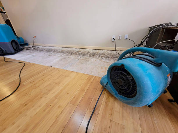 Professional Structural Drying technician working in Cramerton, NC